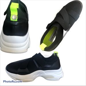 Steve madden Sneakers